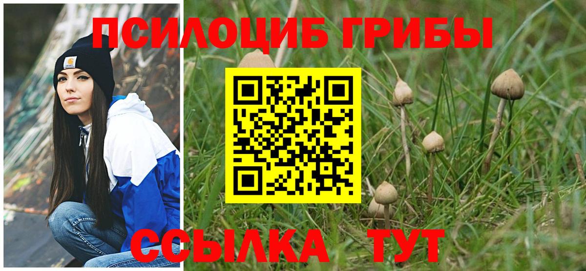 Луга  Псилоцибиновые грибы Psilocybe  Галлюциногенные грибы прущие грибы  Вход с VPN 