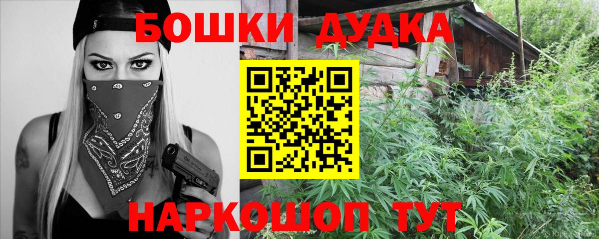 Марихуана сатива Луга
